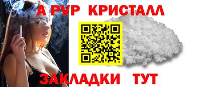 гашик Берёзовский