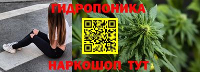 гашик Берёзовский