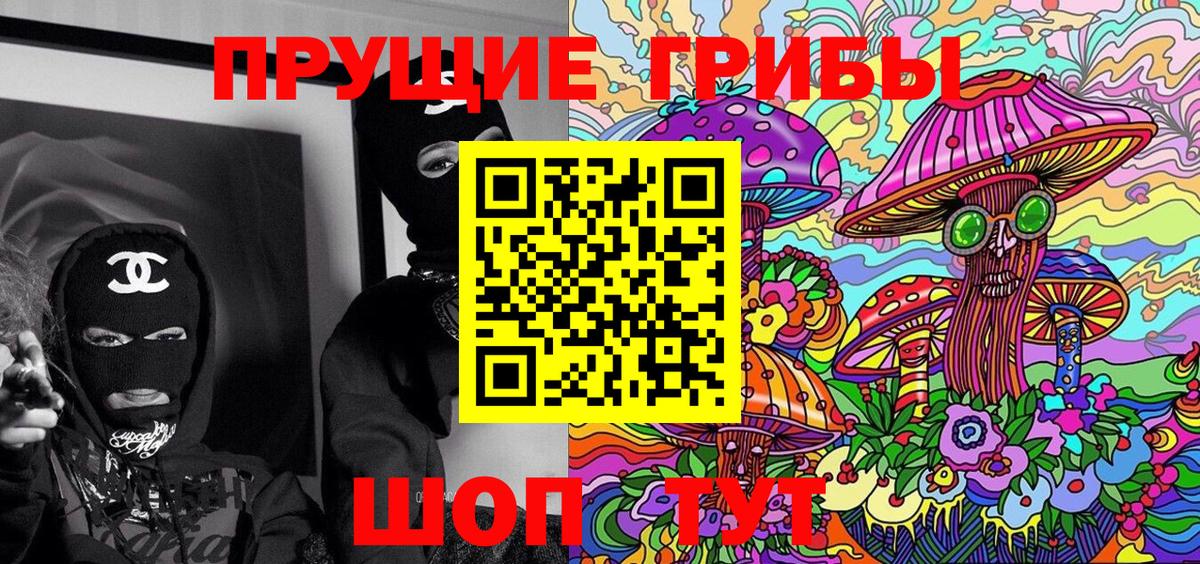 Псилоцибиновые грибы мицелий  Псилоцибиновые грибы GOLDEN TEACHER  Вход с VPN  Владивосток 